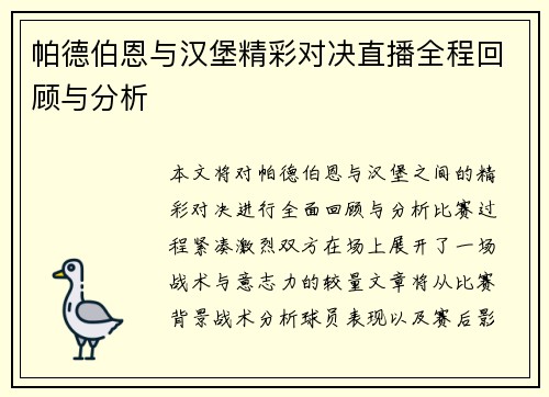 帕德伯恩与汉堡精彩对决直播全程回顾与分析